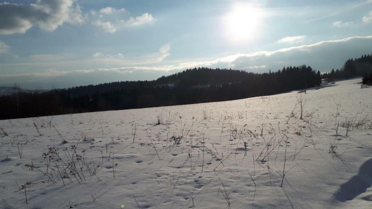 Domek W Beskidach Zachelmna Dış mekan fotoğraf